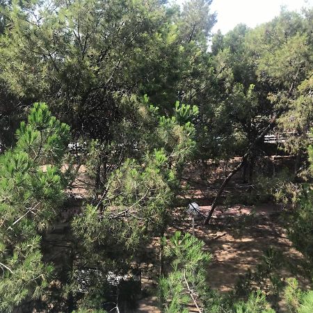 Apartamento Con Terraza, Garaje Y Piscina A 350M Playa Garrucha Exterior foto